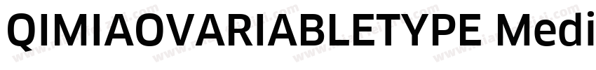 QIMIAOVARIABLETYPE Medium字体转换